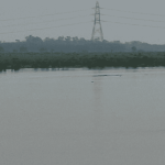BDP–3: “Justice for Buddha Darya”