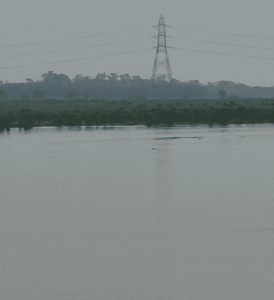 BDP–3: “Justice for Buddha Darya”