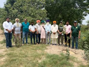 Vanmahotsav Commemoration and Celebration of Saving Mattewara Jungles Commence with Community Plantation Drive