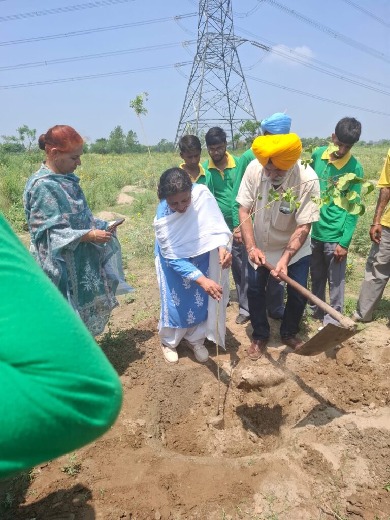 Day 3 (3 July 2026): Plantation Drive Continues
