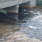 Buddha Darya: A Dead River After Four Years of Broken Promises