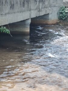 Buddha Darya: A Dead River After Four Years of Broken Promises