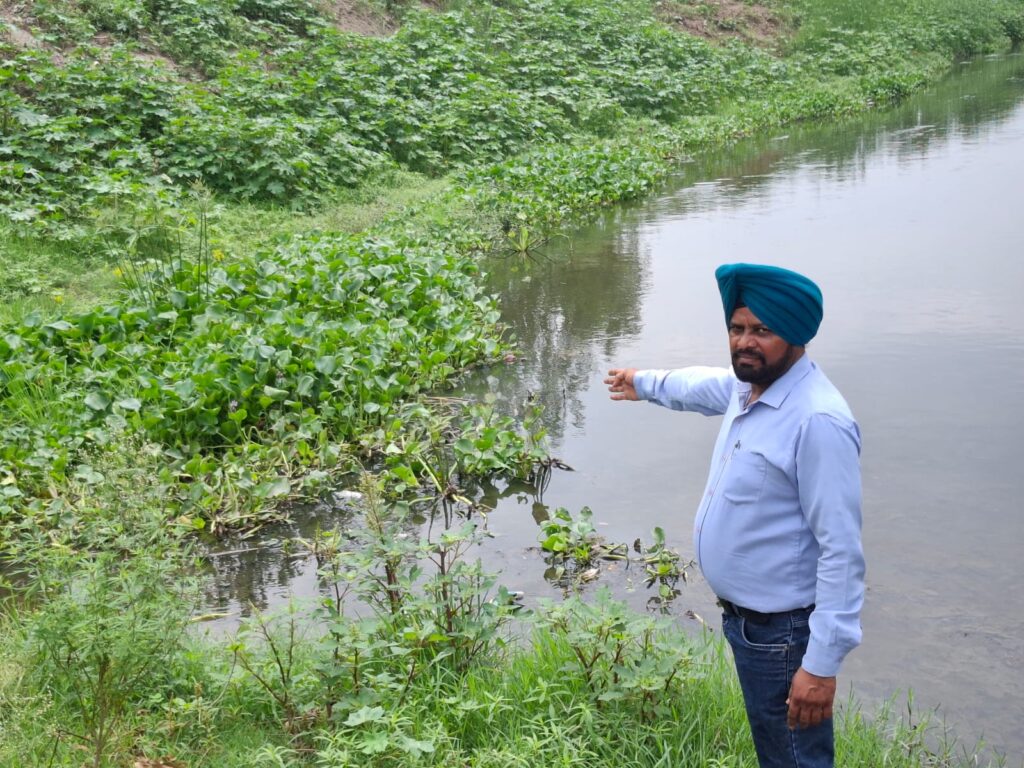 Mattewara Drain: A Sustainable Water Strategy for Jungles & Biodiversity